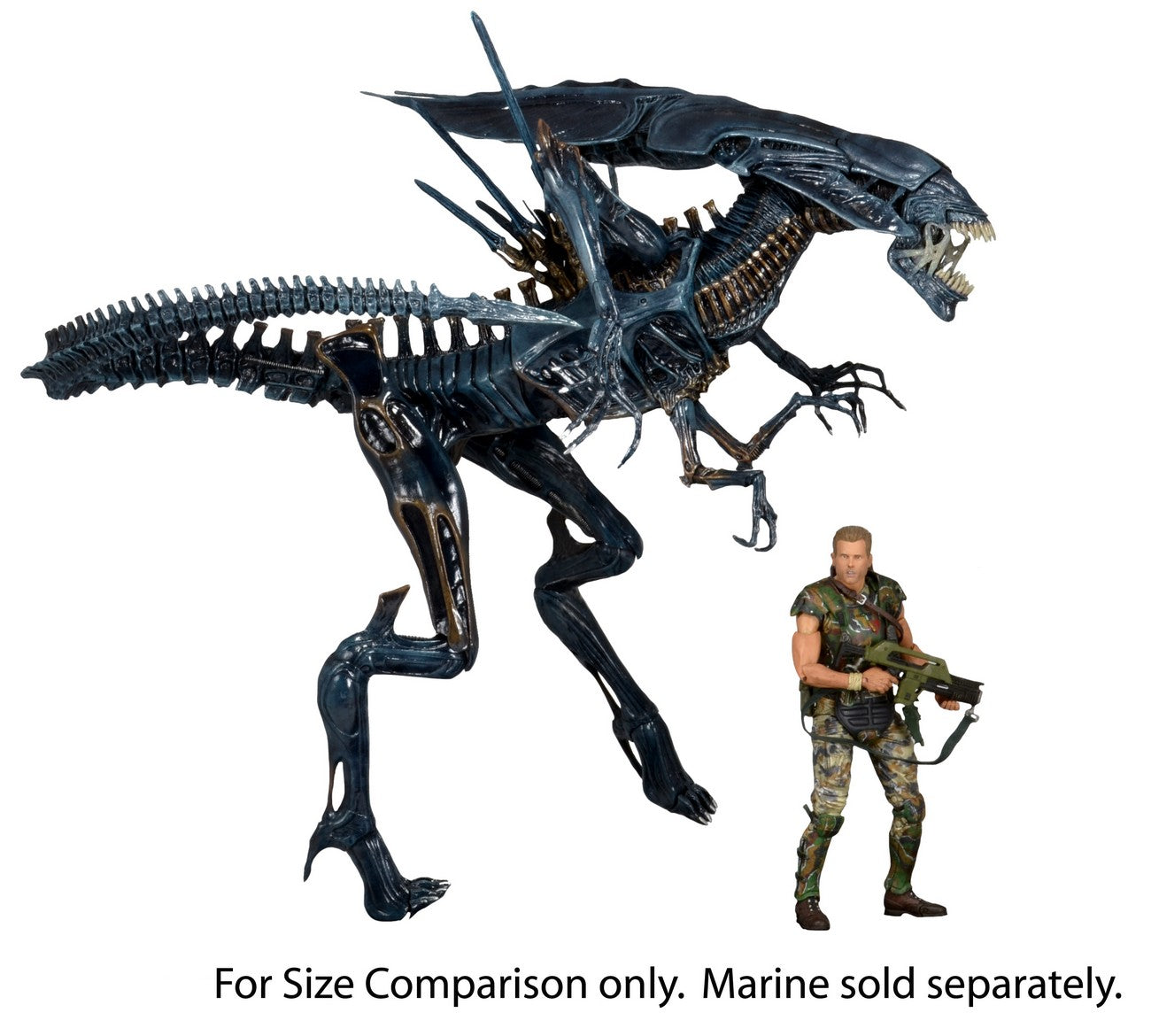 Xenomorph Queen Ultra Deluxe Boxed Action Figure