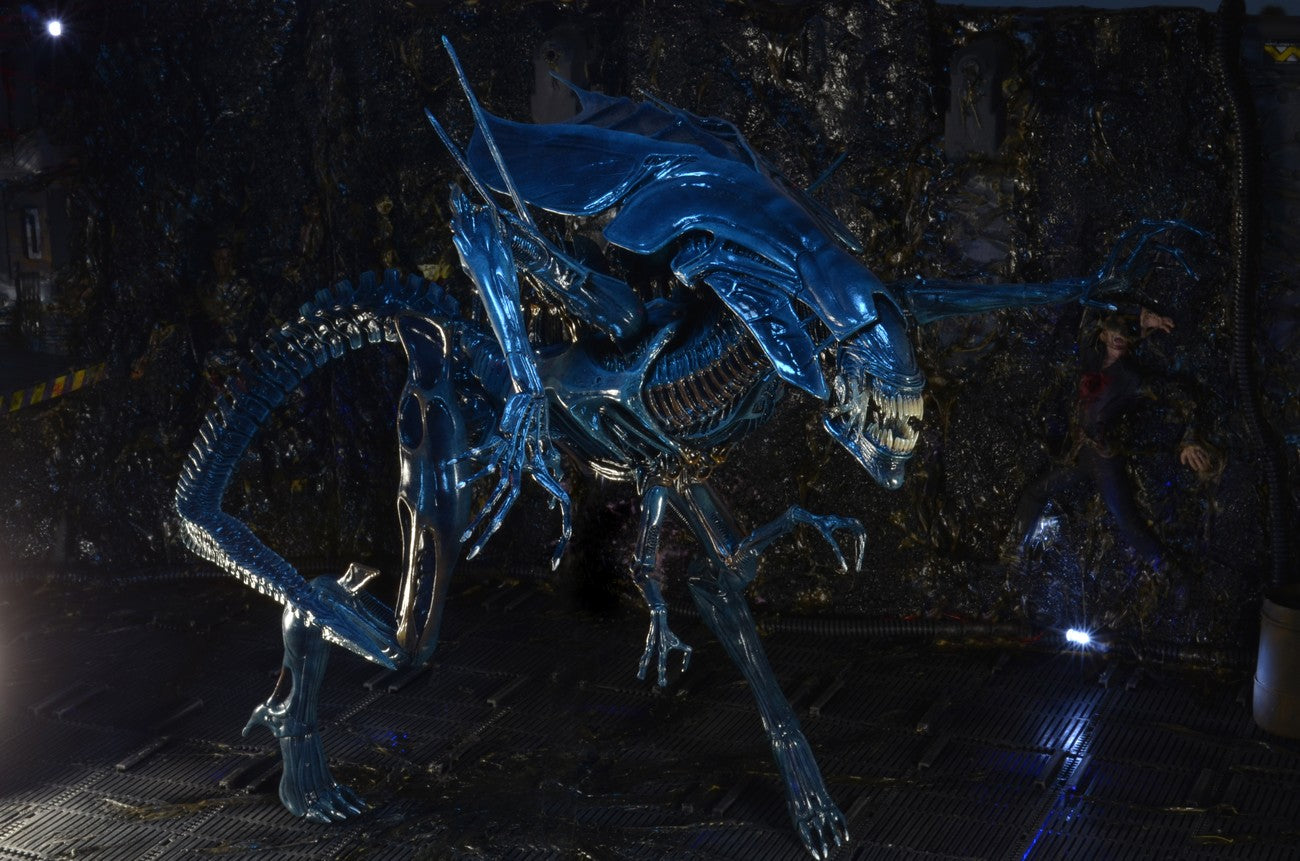 Xenomorph Queen Ultra Deluxe Boxed Action Figure