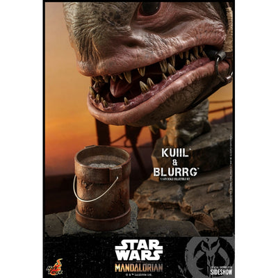 Kuiil™ & Blurgg™ Sixth Scale Figure Set by Hot Toys