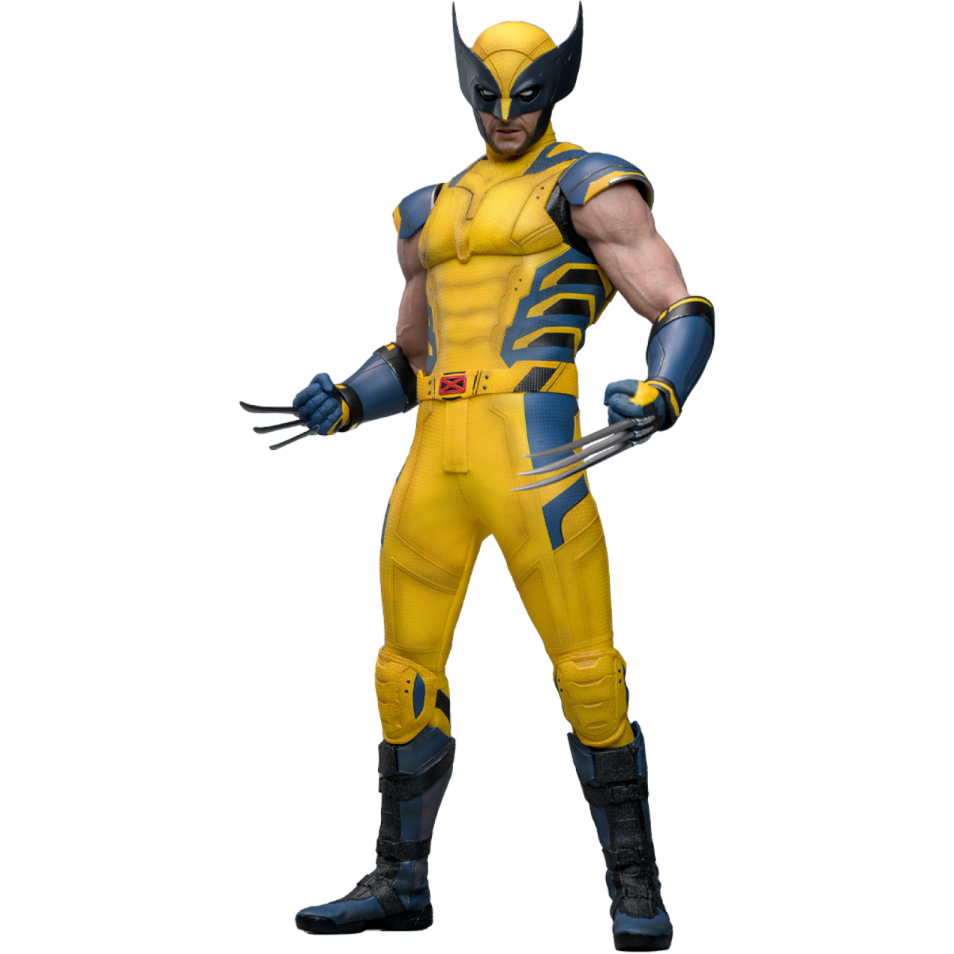 Wolverine Sixth Scale Figure Wolverine Sixth Scale Figure