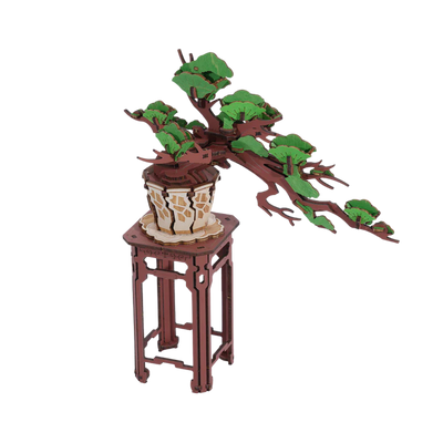Rolife Evergreen Pine Bonsai DIY Wooden 3D Puzzle