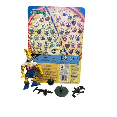 Teenage Mutant Ninja Turtle Halfcourt