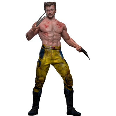 WOLVERINE (TVA JACKET VERSION) Sixth Scale Figure by Hot Toys