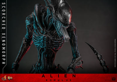 PRE-ORDER Scorched Xenomorph Sixth Scale Figure Hot Toys