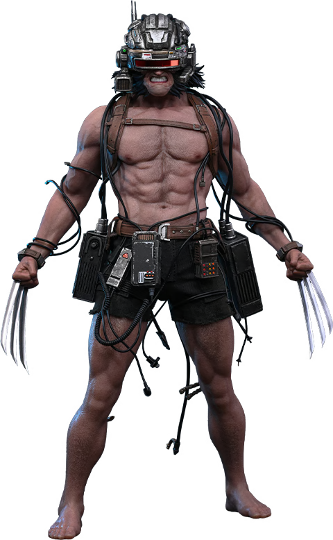 PRE-ORDER Hot Toys Marvel Comics Weapon X 1/6th Scale Figure