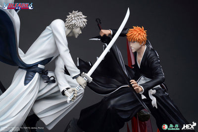 Ichigo Kurosaki vs Hollow Ichigo