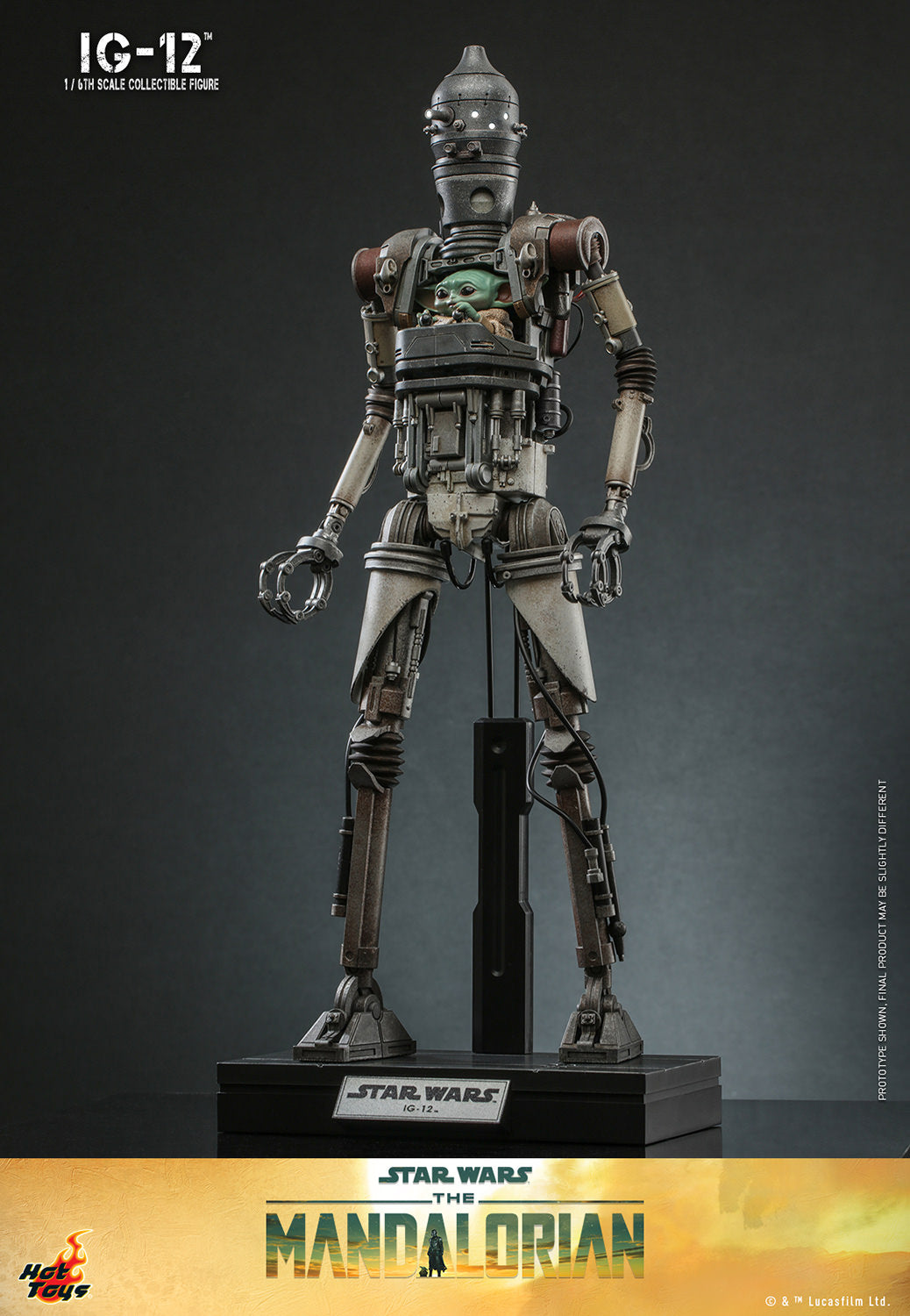 IG-12 Sixth Scale Figure