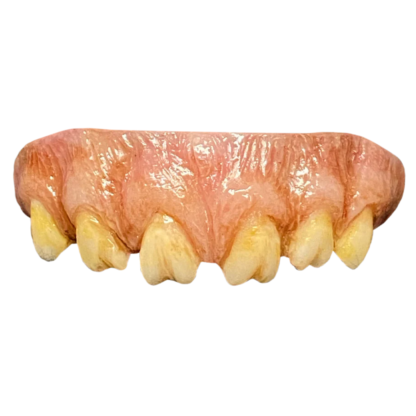 The Texas Chainsaw Massacre (1974) - Leatherface Teeth