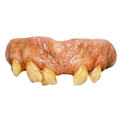 The Texas Chainsaw Massacre 2 - Leatherface Teeth
