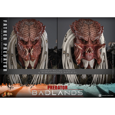 PRE-ORDER Njohrr Sixth Scale Figure by Hot Toys
