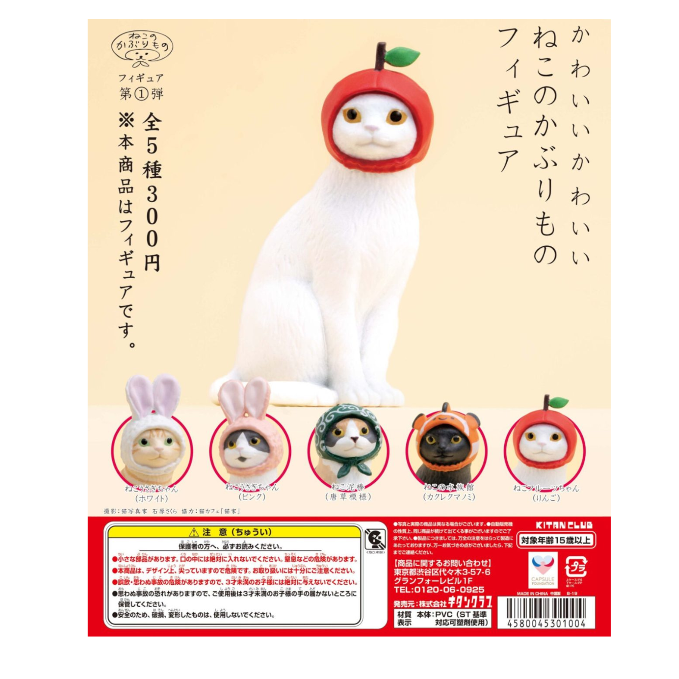 Cat in Costume Blind Box Asst