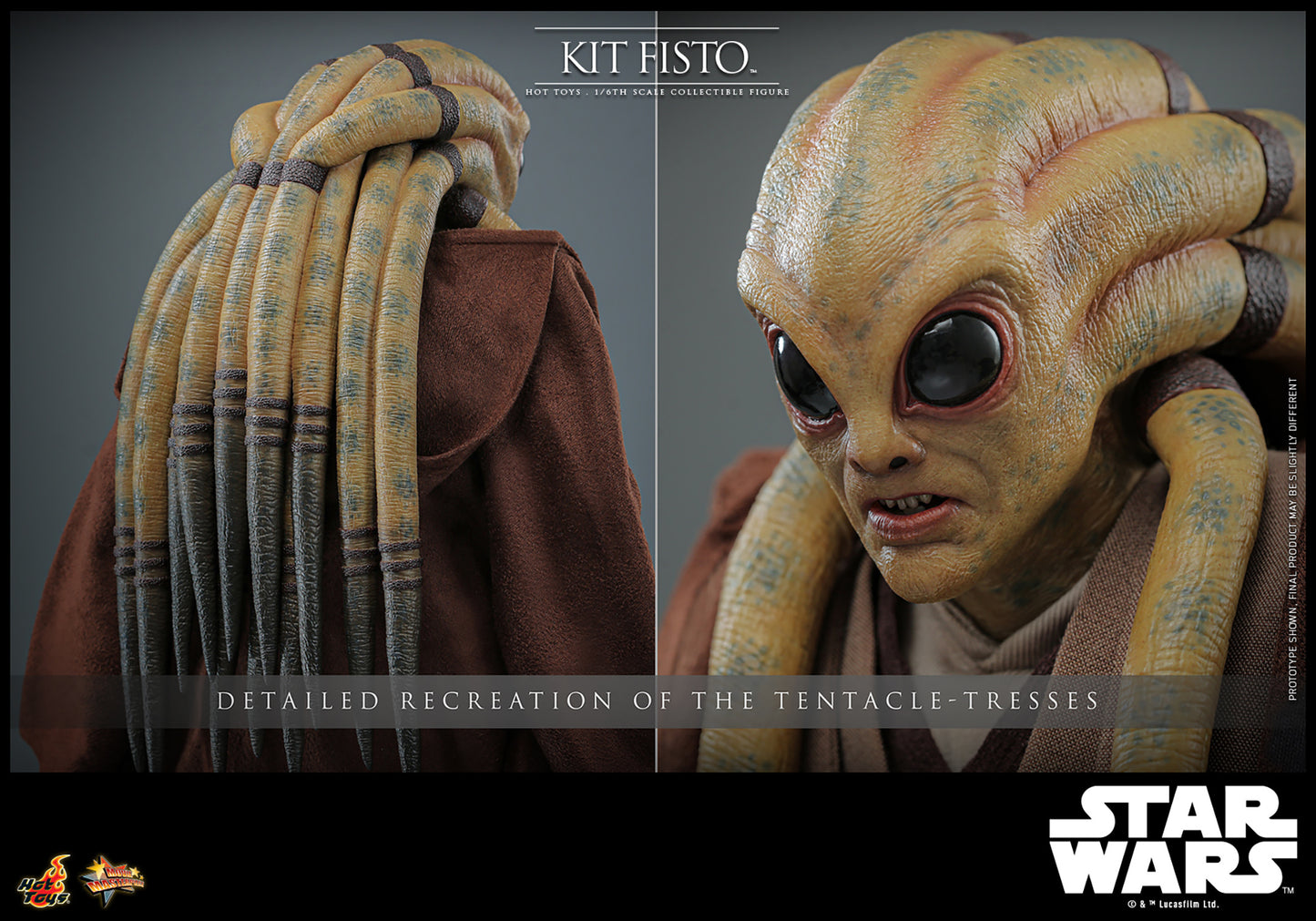 Kit Fisto Sixth Scale Figure