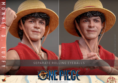Monkey D. Luffy Sixth Scale Figure
