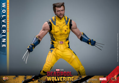 PRE-ORDER Wolverine (Deluxe Version) Sixth Scale Figure