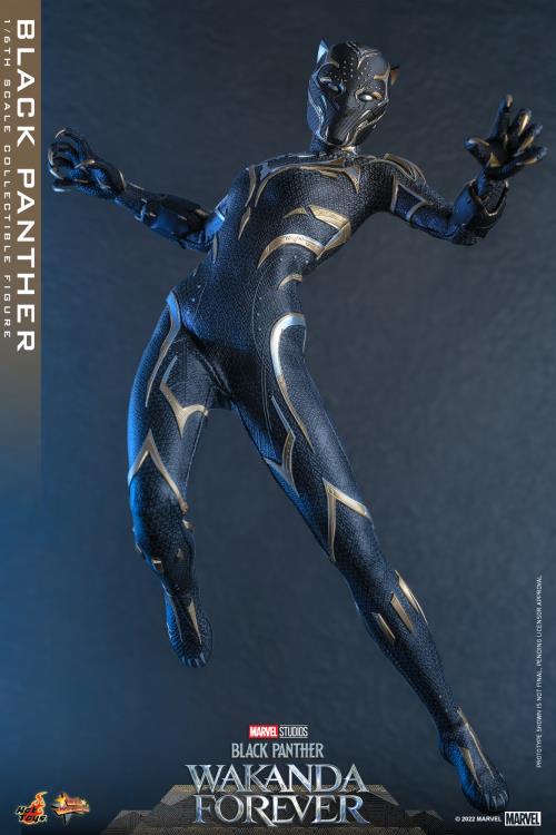 Black Panther 1/6 Scale Figure