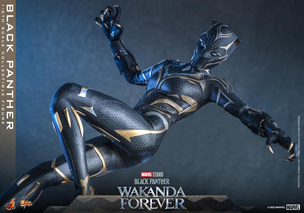 Black Panther 1/6 Scale Figure