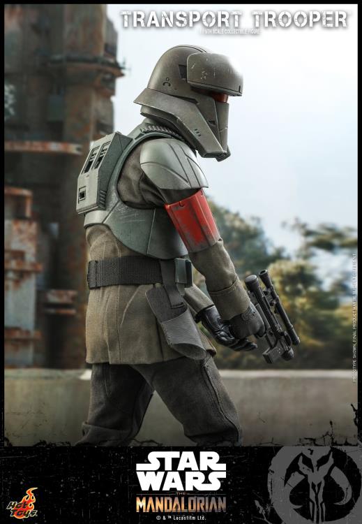 Transport Trooper Sixth Scale Figure