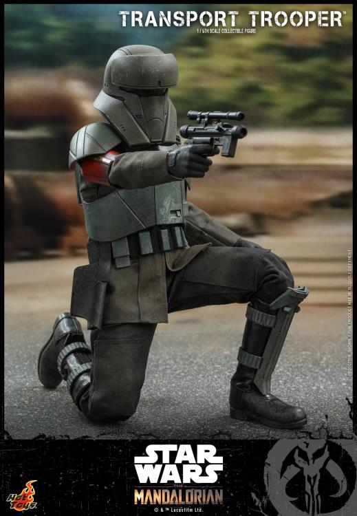 Transport Trooper Sixth Scale Figure