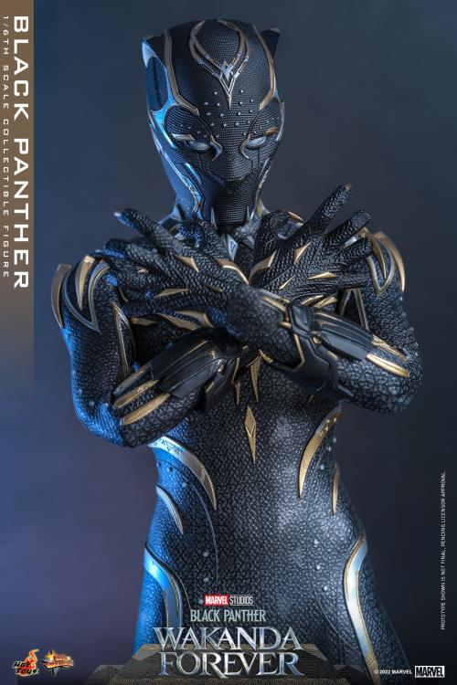 Black Panther 1/6 Scale Figure