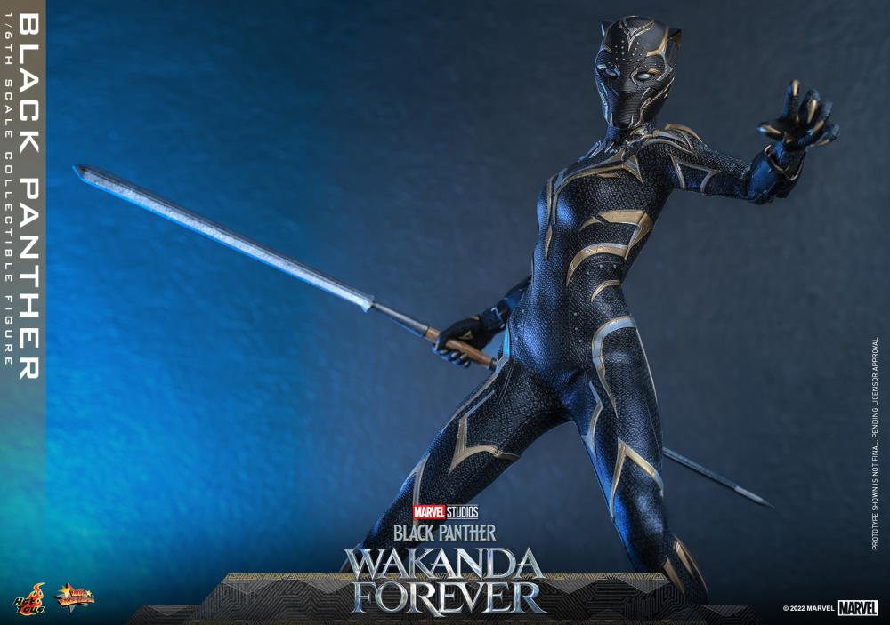 Black Panther 1/6 Scale Figure