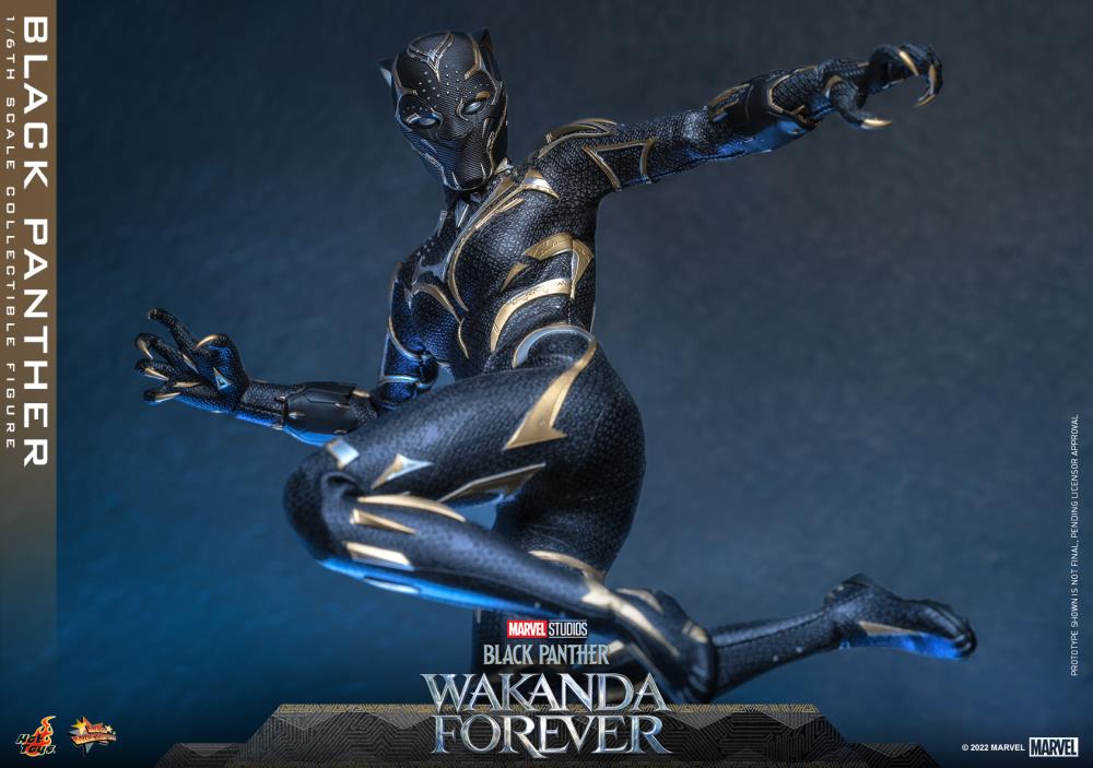 Black Panther 1/6 Scale Figure