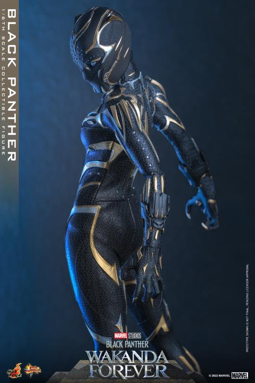 Black Panther 1/6 Scale Figure