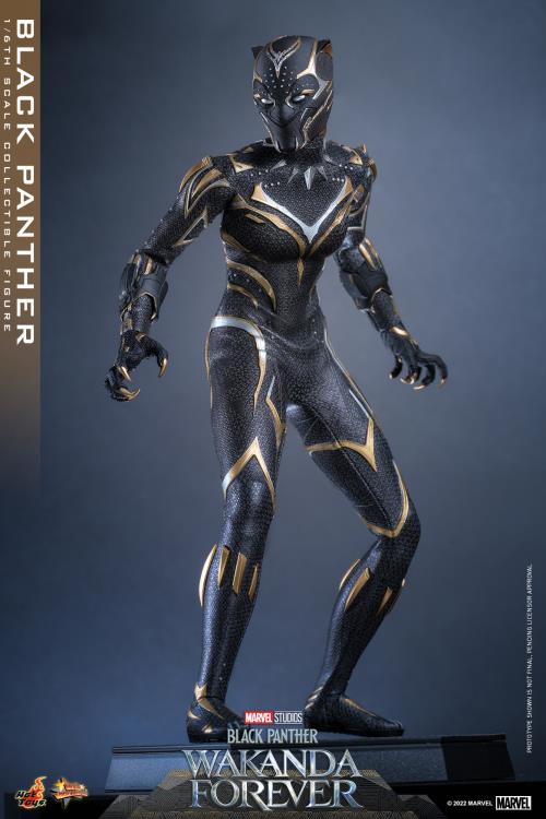Black Panther 1/6 Scale Figure