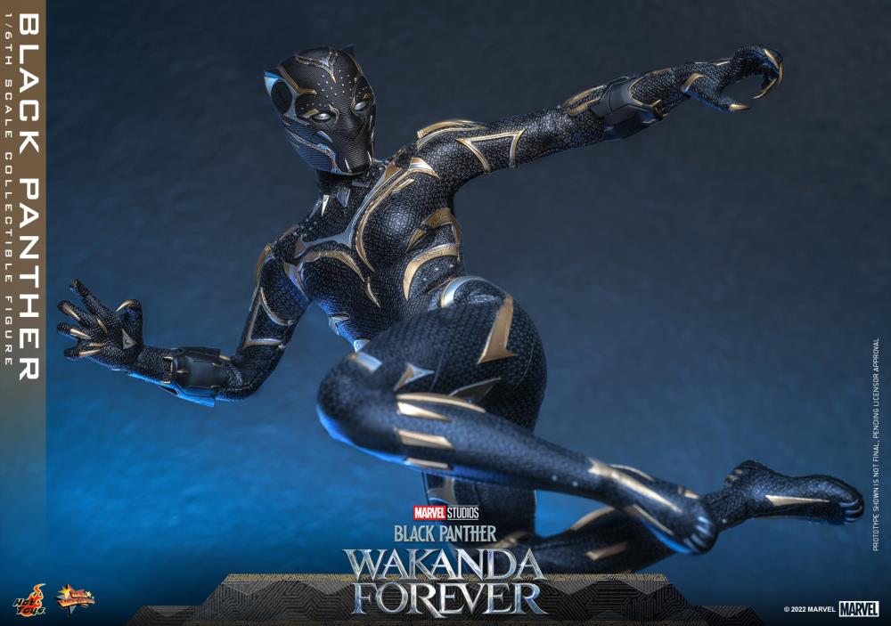 Black Panther 1/6 Scale Figure