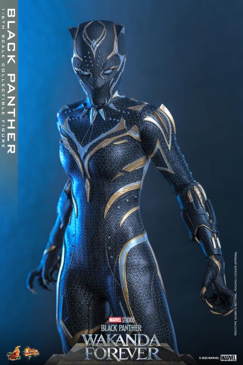 Black Panther 1/6 Scale Figure