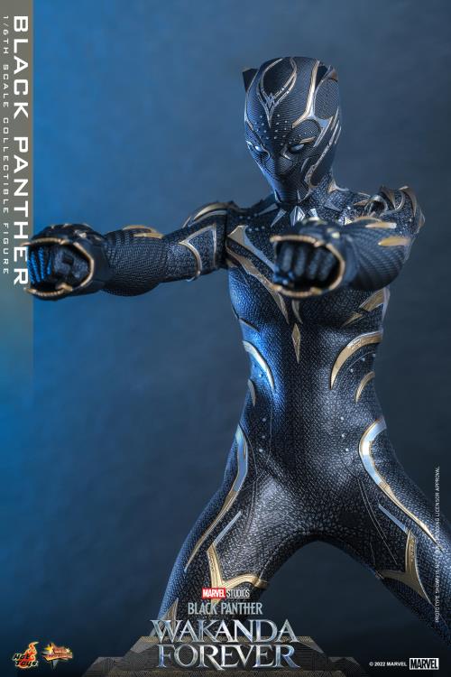 Black Panther 1/6 Scale Figure