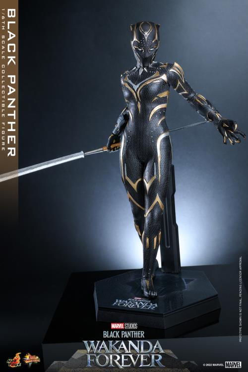 Black Panther 1/6 Scale Figure