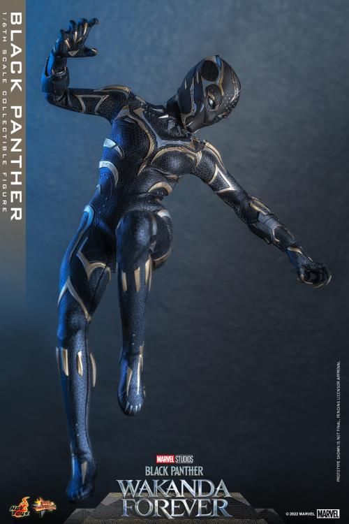 Black Panther 1/6 Scale Figure