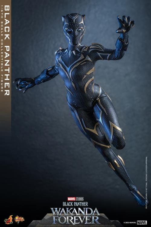 Black Panther 1/6 Scale Figure