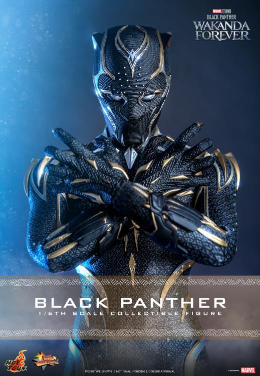 Black Panther 1/6 Scale Figure