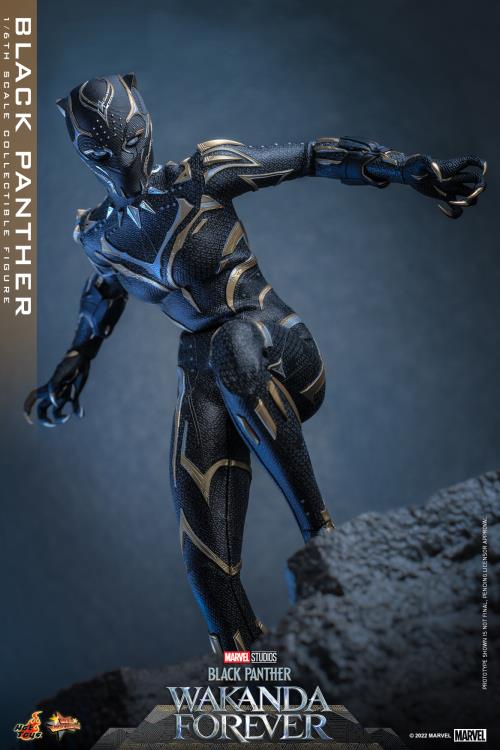 Black Panther 1/6 Scale Figure