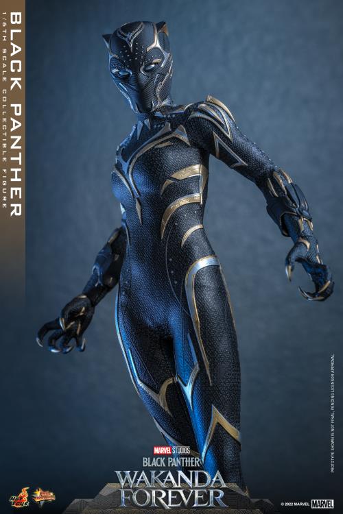Black Panther 1/6 Scale Figure