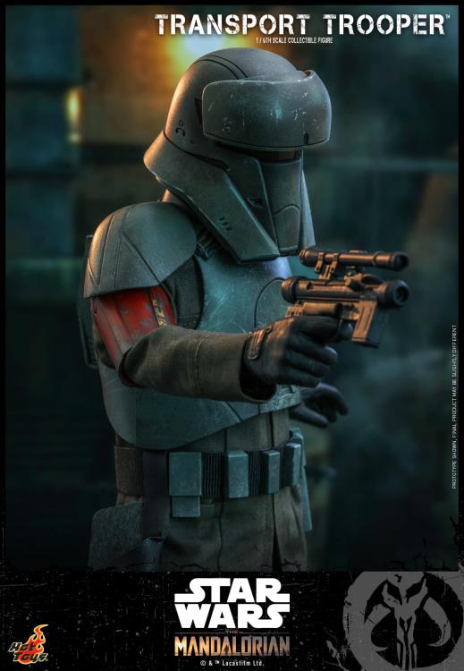 Transport Trooper Sixth Scale Figure