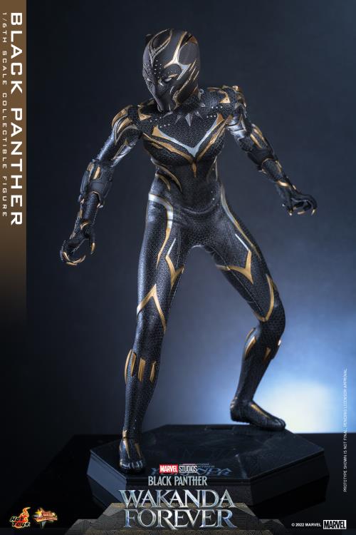 Black Panther 1/6 Scale Figure