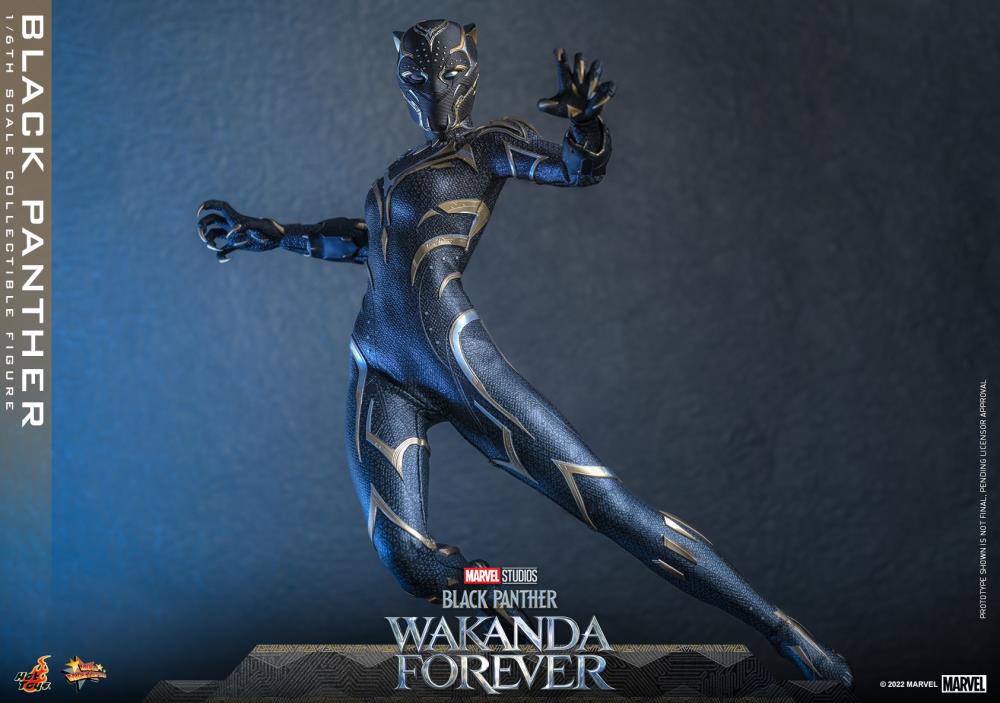Black Panther 1/6 Scale Figure