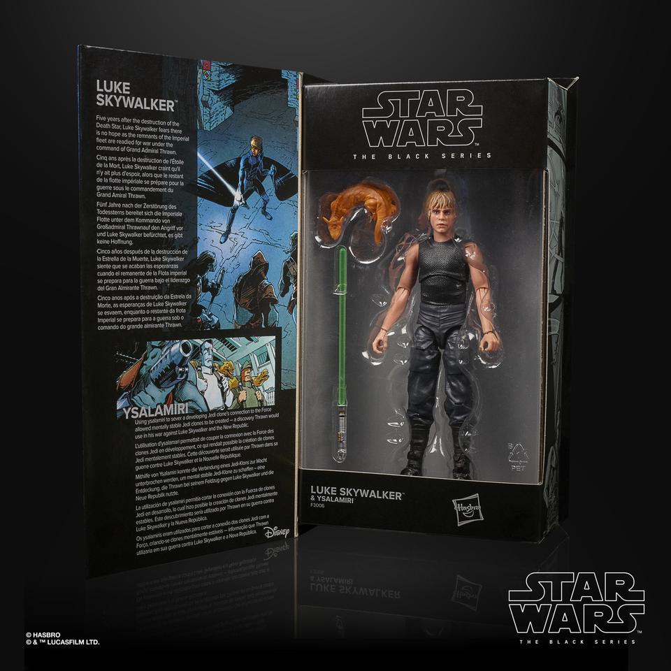 Fan Channel Exclusive Star Wars The Black Series Luke Skywalker (Legends)