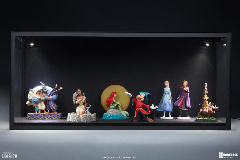 PRE-ORDER Sixth110 Display Case