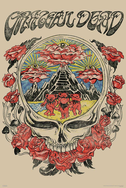 Grateful Dead - Skull Vision 24x36 Poster