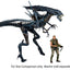 Xenomorph Queen Ultra Deluxe Boxed Action Figure