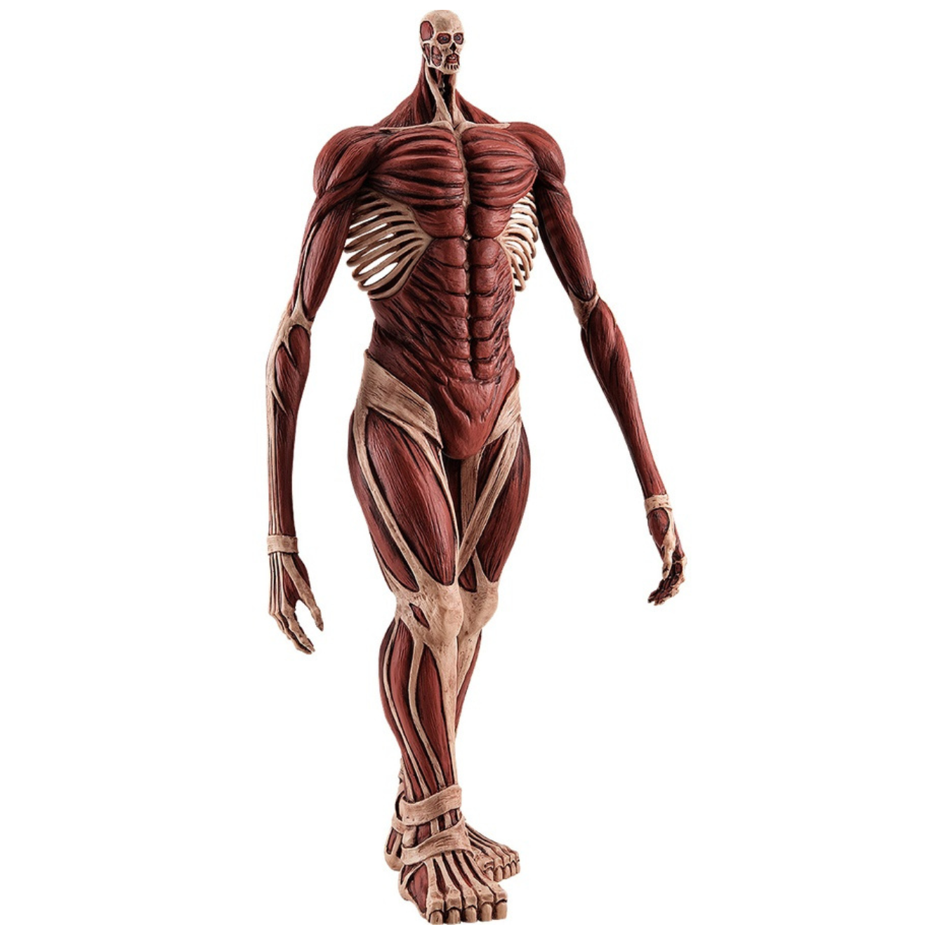 POP UP PARADE Armin Arlert: Colossus Titan Ver. L Size (Attack on Titan)