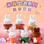Adventure Series Miffy Plush Blind Box