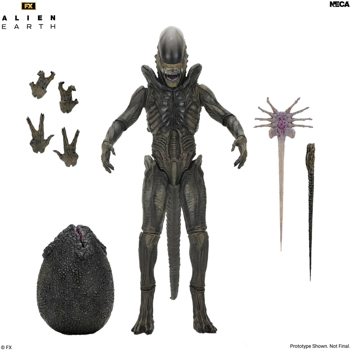 PRE-ORDER NECA Alien Earth Ultimate Wendy's Zenomorph 7" Action Figure