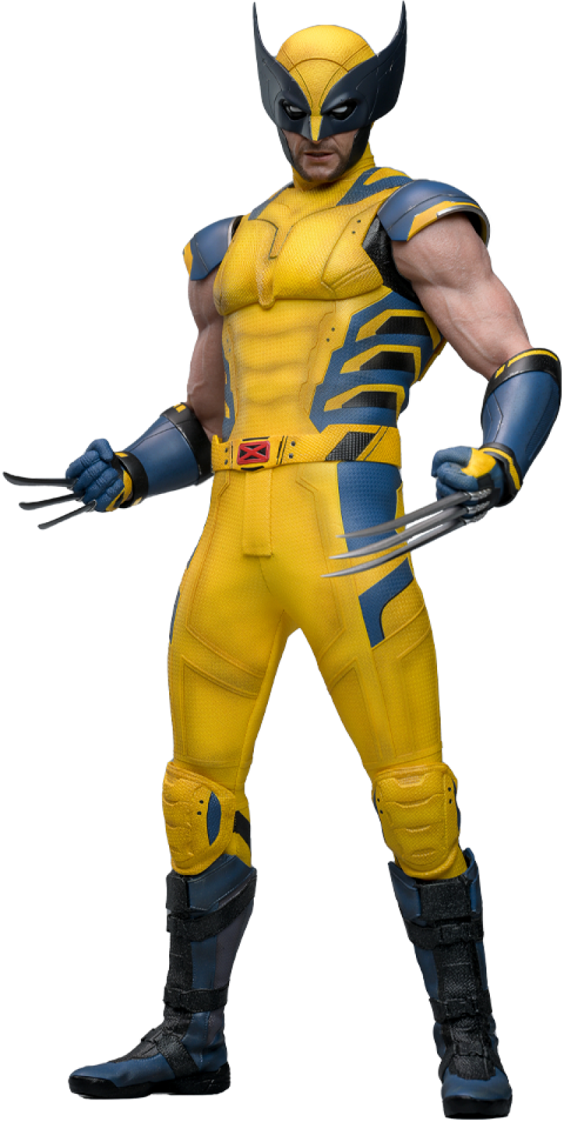 PRE-ORDER Wolverine Sixth Scale Figure