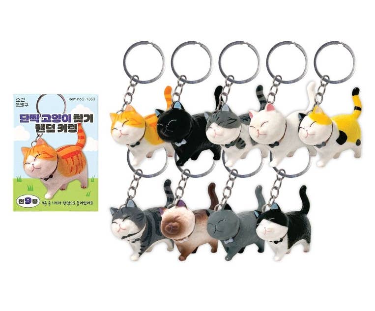 Best Friend Cat Figure Collectable Keyring Random Box