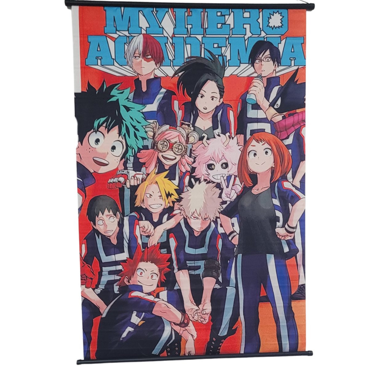 My Hero Academia Cast Wall Scroll