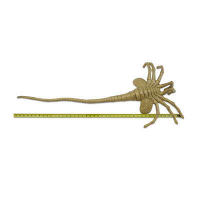 Aliens – Foam Prop Replica – Life-Size Facehugger